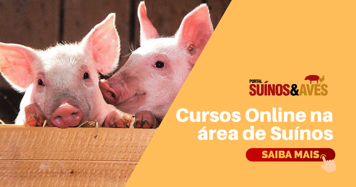 Cursos Online na área de Suínos